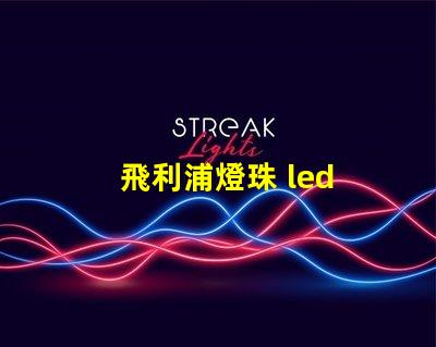 飛利浦燈珠 led 大燈